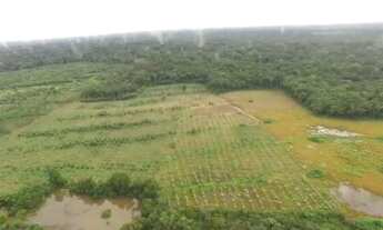 Imagem 2: SÍTIO BR-230 SENT. LABREA CANUTAMA-AMAZONAS