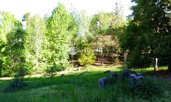 Imagem 6: Campos do Jordão - Loteamento/Condomínio - indeterminado