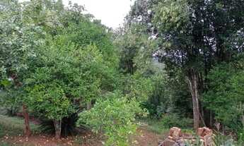 Imagem 5: Ótima oportunidade de ficar com essa chácara, prontinha para morar, localizada em Taquara