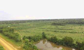 Imagem 5: SÍTIO BR-230 SENT. LABREA CANUTAMA-AMAZONAS