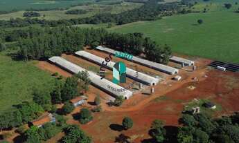 Imagem 3: GRANJA em Paraúna