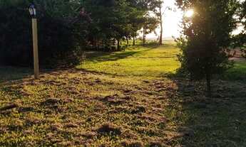 Imagem 3: Sítio na Reg de Paranavaí Pr sao, 9 ,5 alq vendo