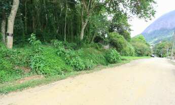 Imagem 7: Lotes exclusivos no Cônego - Lote 14