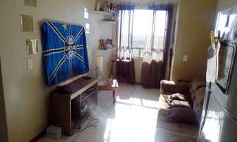 Imagem 7: SãO LEOPOLDO - Padrão - Pinheiro