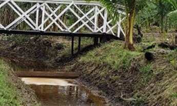 Imagem 2: SÍTIO BR-230 SENT. LABREA CANUTAMA-AM