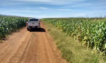 Imagem 4: Fazenda/Sítio/Chácara para venda com 33 metros quadrados com 10 quartos