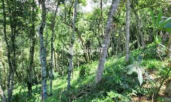 Imagem 4: Santo Antônio do Pinhal - Terreno Padrão - 5 Km do Centro