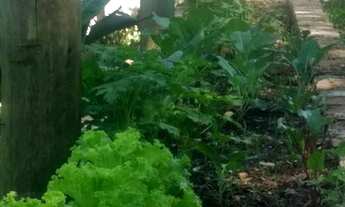 Imagem 2: Lote/Terreno para aluguel e venda com 1200 metros quadrados em Cascata - Porto Alegre - RS