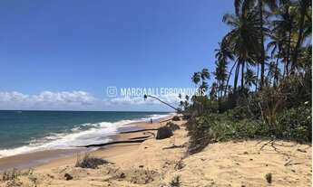 Imagem 1: Terreno de frente para o mar - Condomínio Busca Vida