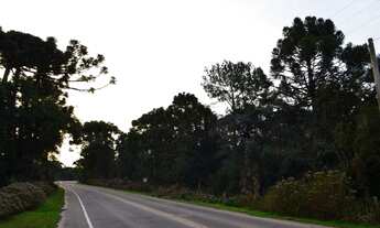 Imagem 7: Área à venda, 100000 m² por R$ 4.899.000,00 - Mato Queimado - Gramado/RS