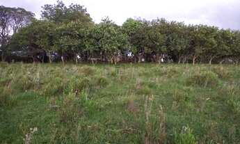 Imagem 2: CERRITO ALEGRE (PELOTAS) - Terreno Padrão - Rural