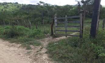 Imagem 7: Fazenda/Sítio/Chácara para venda com 700 ta ou 2.117,500 metros quadrados em Centro - Laga
