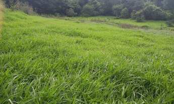 Imagem 6: Otima Estrutura Numa Area 38 Hectares!!!Permuta Por VeIculo !!!Confira!!!!