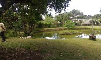 Imagem 3: Chacara com 5000 m² - Ótimo local