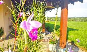 Imagem 3: Sítio no Bom Retiro em Artur Nogueira