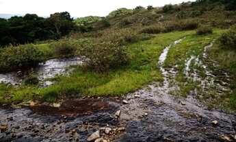 Imagem 3: Terreno com área de 65 hectares em Cláudio/MG