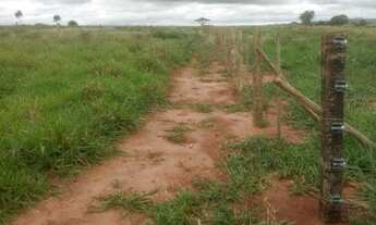 Imagem 7: Sítio na Reg de Paranavaí Pr sao, 9 ,5 alq vendo