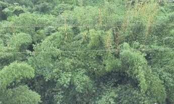 Imagem 4: Apartamento para Venda, Brotas, 5 dormitórios, 1 suíte, 3 banheiros, 1 vaga
