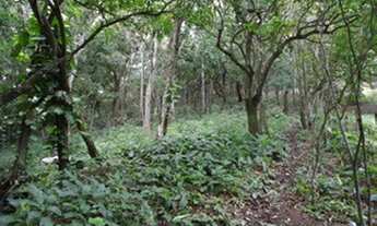 Imagem 7: Vargem Grande Terreno de 14.700m2 RGI individual