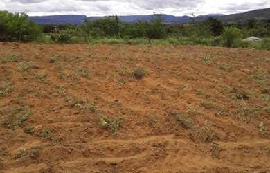 Imagem 7: LOTE NO SARGENTO PROXIMO A FACULDADE DE MEDICINA
