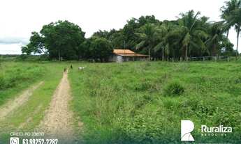 Imagem 3: Fazenda com dupla aptidão na região de Bernardo Sayão - TO