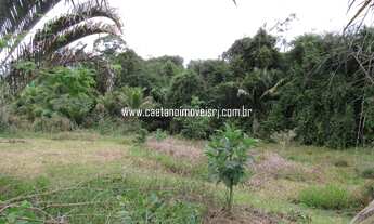 Imagem 3: Terreno em Agro-Brasil para montar seu sítio