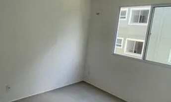 Imagem 4: Vista das copaiba