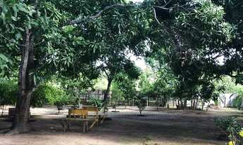 Imagem 4: Casa em Mucajaí