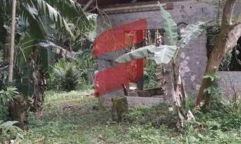 Imagem 2: CHÁCARA com 2 dormitórios à venda com 16000m² por R$ 320.000,00 no bairro Rio do Nunes - A