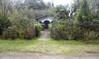 Imagem: Gramado - Casa Padrão - Planalto