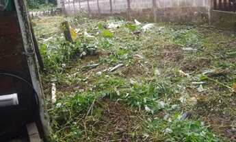 Imagem 4: VENDO TERRENO EM SÃO GONÇALO-ANGRA/PARATY