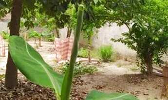 Imagem 3: Vendo casa no Centro de União dos Palmares