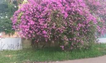 Imagem 2: Terreno a venda no bairro Abranches Curitiba