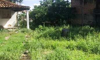 Imagem 4: Terreno no Canarinho. 10 x 22. Nascente. Parte alta. Rua Gonçalves Ledo 234A