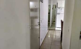 Imagem 6: Apartamento Padrão em São José do Rio Preto