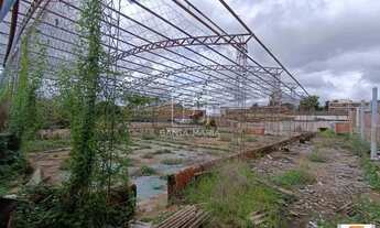 Imagem 6: Terreno (terreno normal