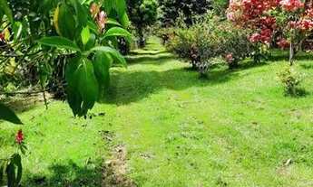 Imagem 3: Vendo fazenda perto do salobrinho