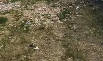 Imagem 5: Vendo um terreno muito bem localizado