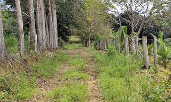 Imagem 5: Vendo fazenda perto do salobrinho