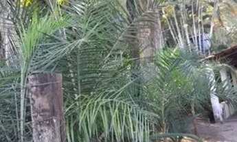 Imagem 4: Casa para temporada Barra do garcas MT