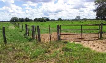 Imagem 2: Crédito Rural Facilitado