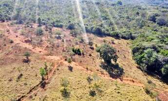 Imagem 3: Fazenda com Terra de Cultura boa e com Lagoa Concretada!