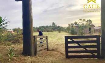 Imagem 5: Baita terreno 2453m², com lindo mato nativo e luz na frente