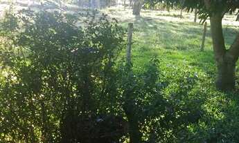 Imagem 7: 3.5 alqueires com benfeitorias em Itaquiraí