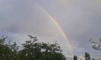 Imagem 7: Vendo ou Troco Chácara