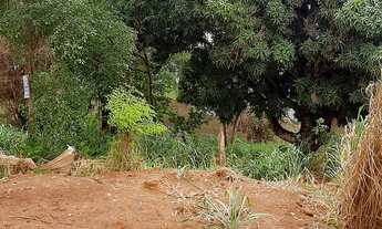 Imagem 2: AREA COM I.435 M2 SETOR ATRAS DO CEASA