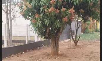 Imagem 5: Oportunidade Única em Araras!! Pesqueiro dos seus Sonhos não perca essa oportunidade!