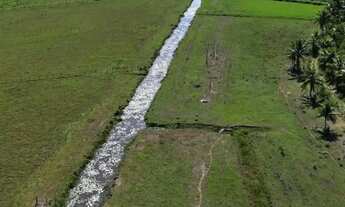 Imagem 2: Sitio a 1 km da BR trevo de Alfredo chaves tudo baixa 5 mil pé de café novos 2.8 alqures