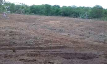 Imagem 6: Vendo Terreno 30 hectares - Rio de Contas Chapada Diamantina (SMRl