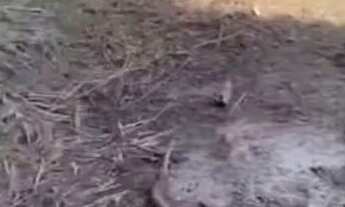 Imagem 3: Venda de terreno 240 mil